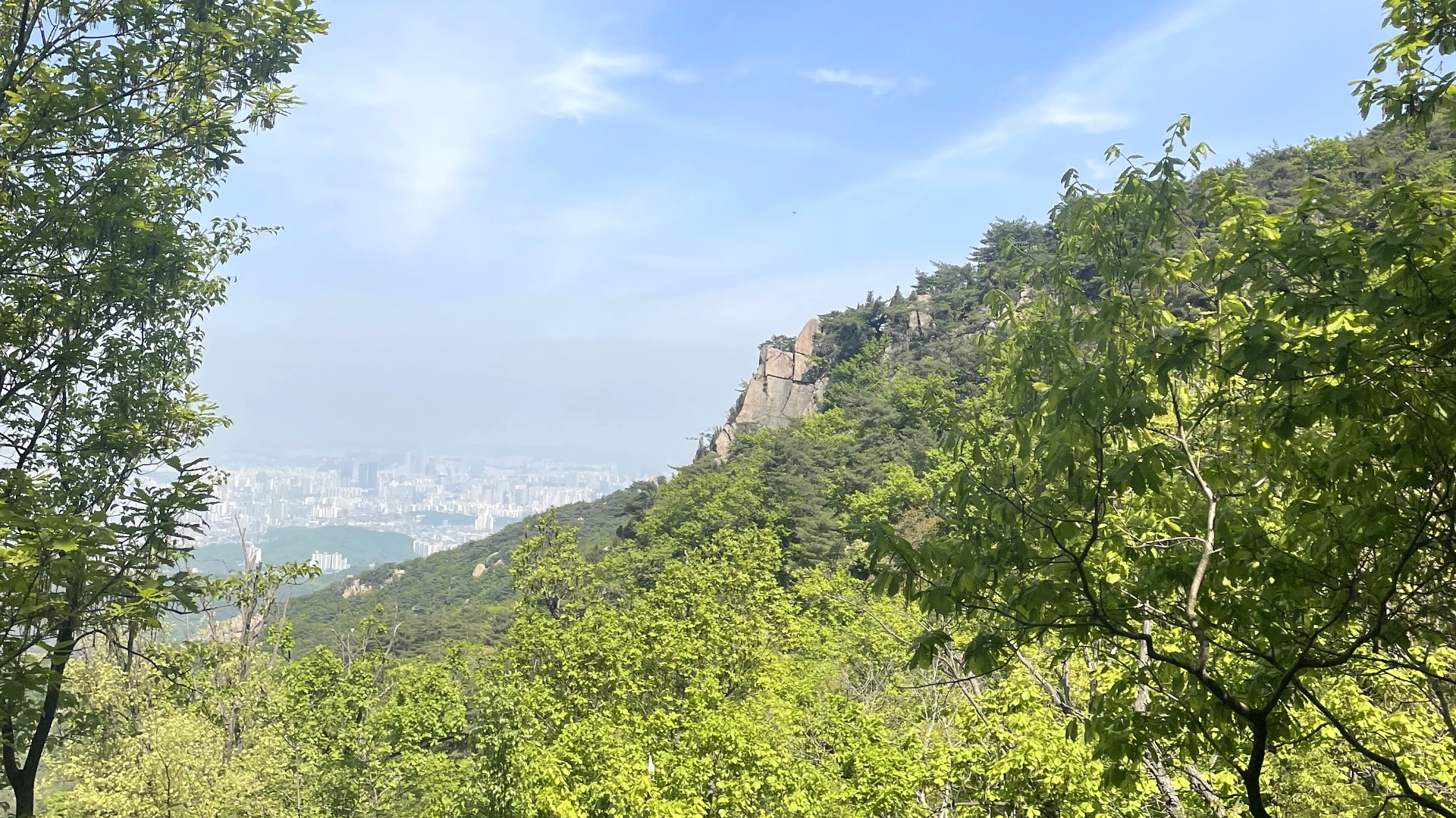 장어를 위한 야생의 메아리: 관악산 트레킹